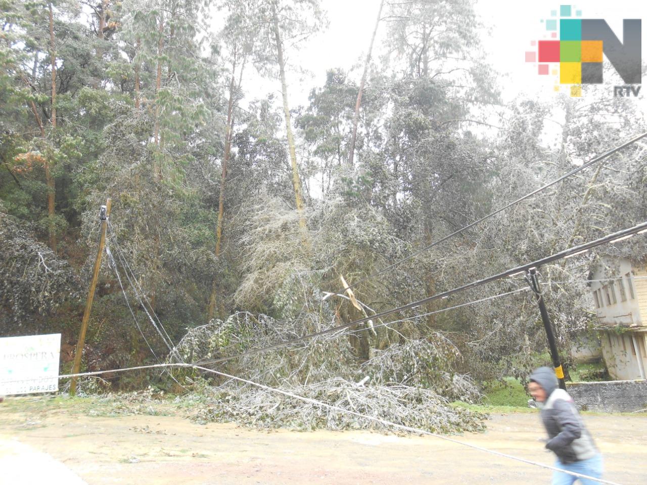 Aguanieve provoca daños en instalación eléctrica y de telefonía de Huayacocotla