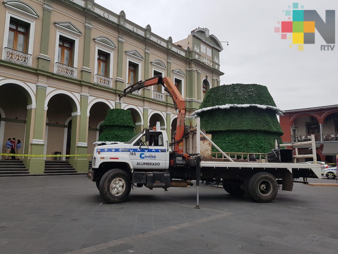 Este domingo encenderán pino navideño en Córdoba