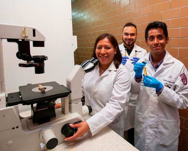 Estudia IPN genes de la amibiasis para combatir esta enfermedad