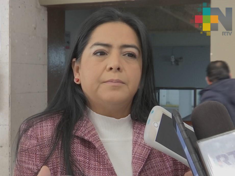 Legisladores locales aún pueden solicitar licencia y buscar cargo de elección popular: Linares Capitanachi
