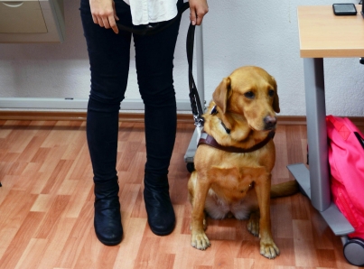 Se titula binomio estudiante-perro guía en Facultad de Filosofía de UNAM