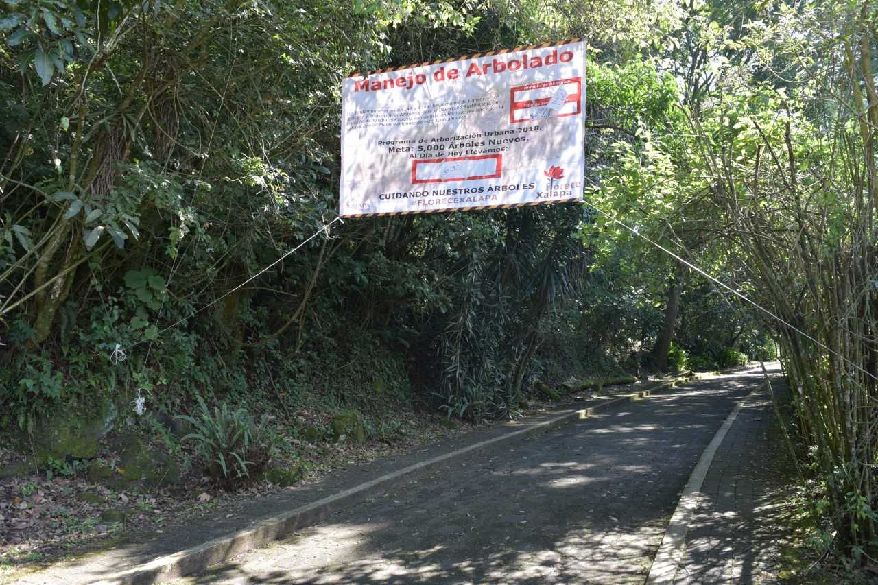 Se intervendrá arbolado del Parque Ecológico Macuiltépetl