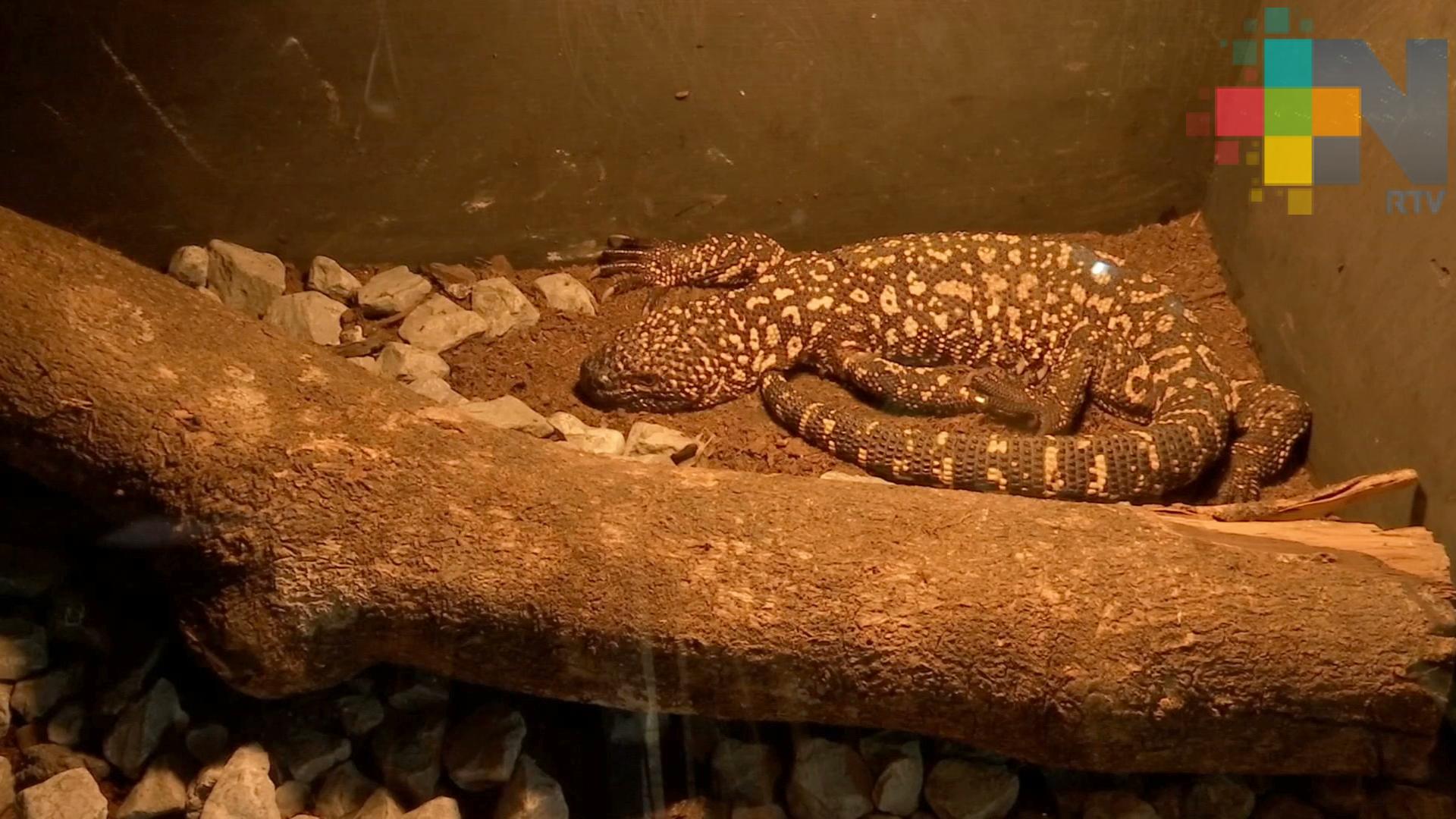 Expo Vida Verde, evento para proteger a las especies