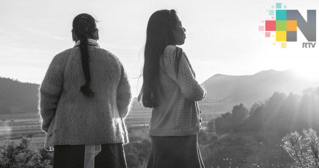 Llega la película Roma a Veracruz