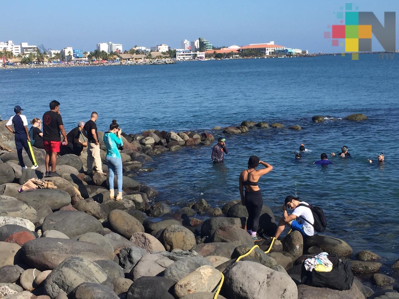 Finaliza operativo especial de vigilancia en playas de Veracruz puerto