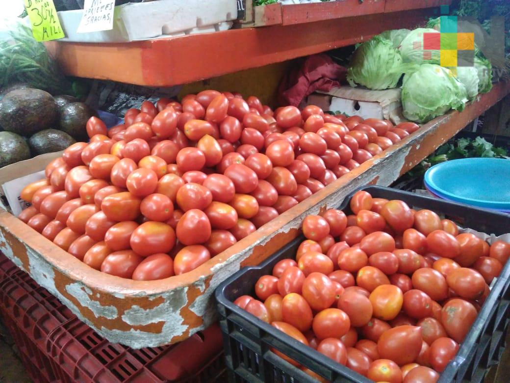 Lluvias y heladas han afectado la producción de jitomate