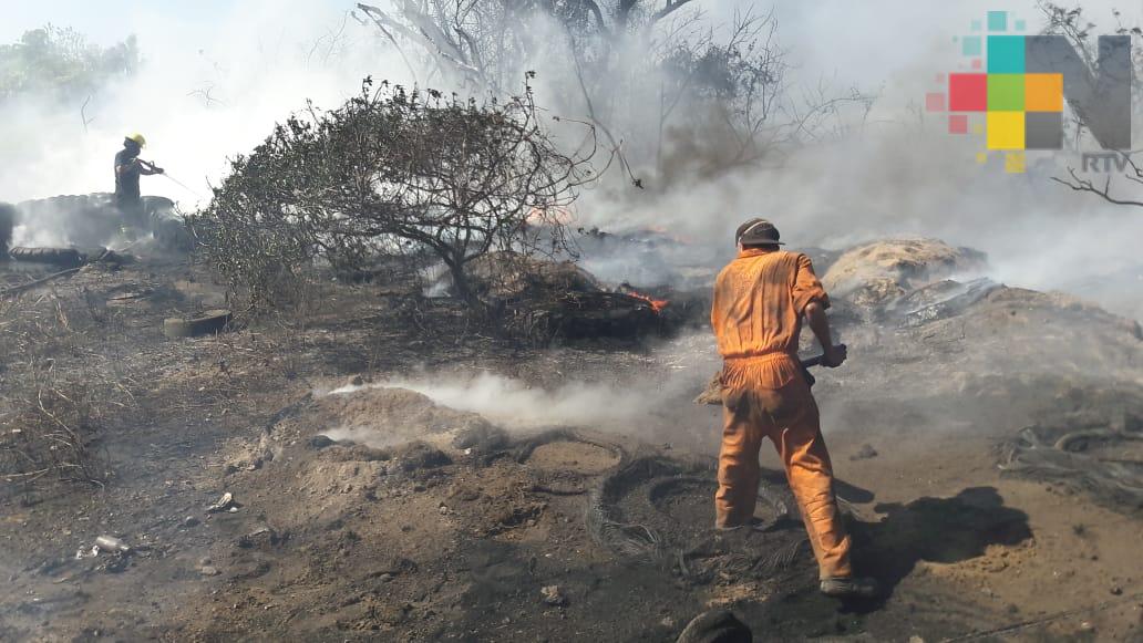Incendio de tiradero en Veracruz pudo ser provocado por pirotecnia