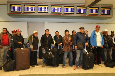 Más de 25 mil jornaleros mexicanos laboraron en Canadá durante 2018
