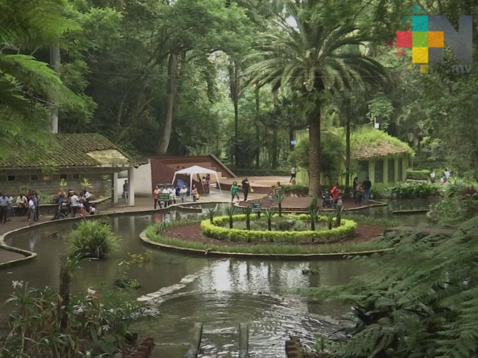 En Xalapa cerrarán parques y habilitarán gimnasios para recibir a personas en situación de calle durante contingencia