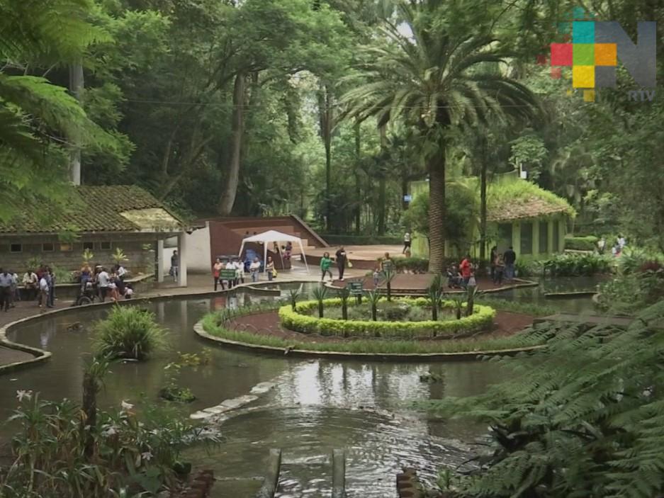 Xalapa solo cuenta con 10% de áreas verdes en su territorio