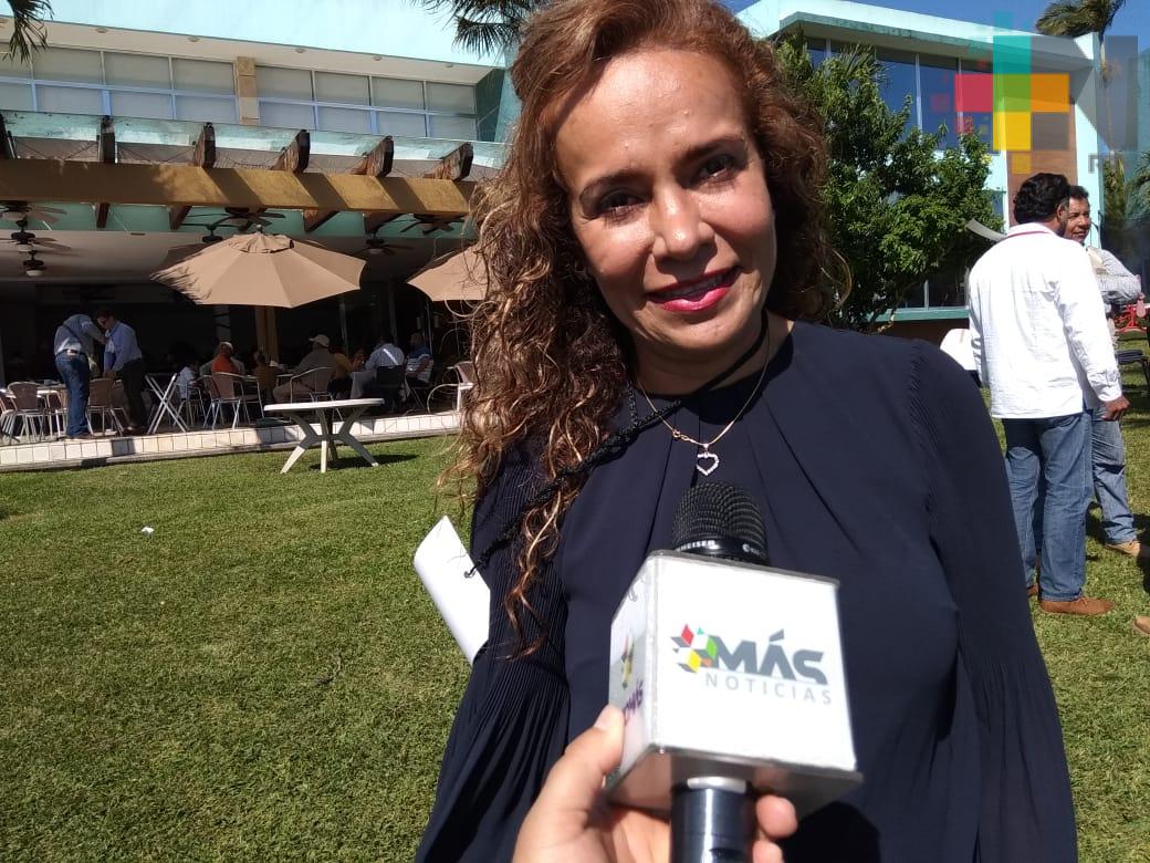 Se realizarán obras de infraestructura carretera en el sur de Veracruz: Diputada