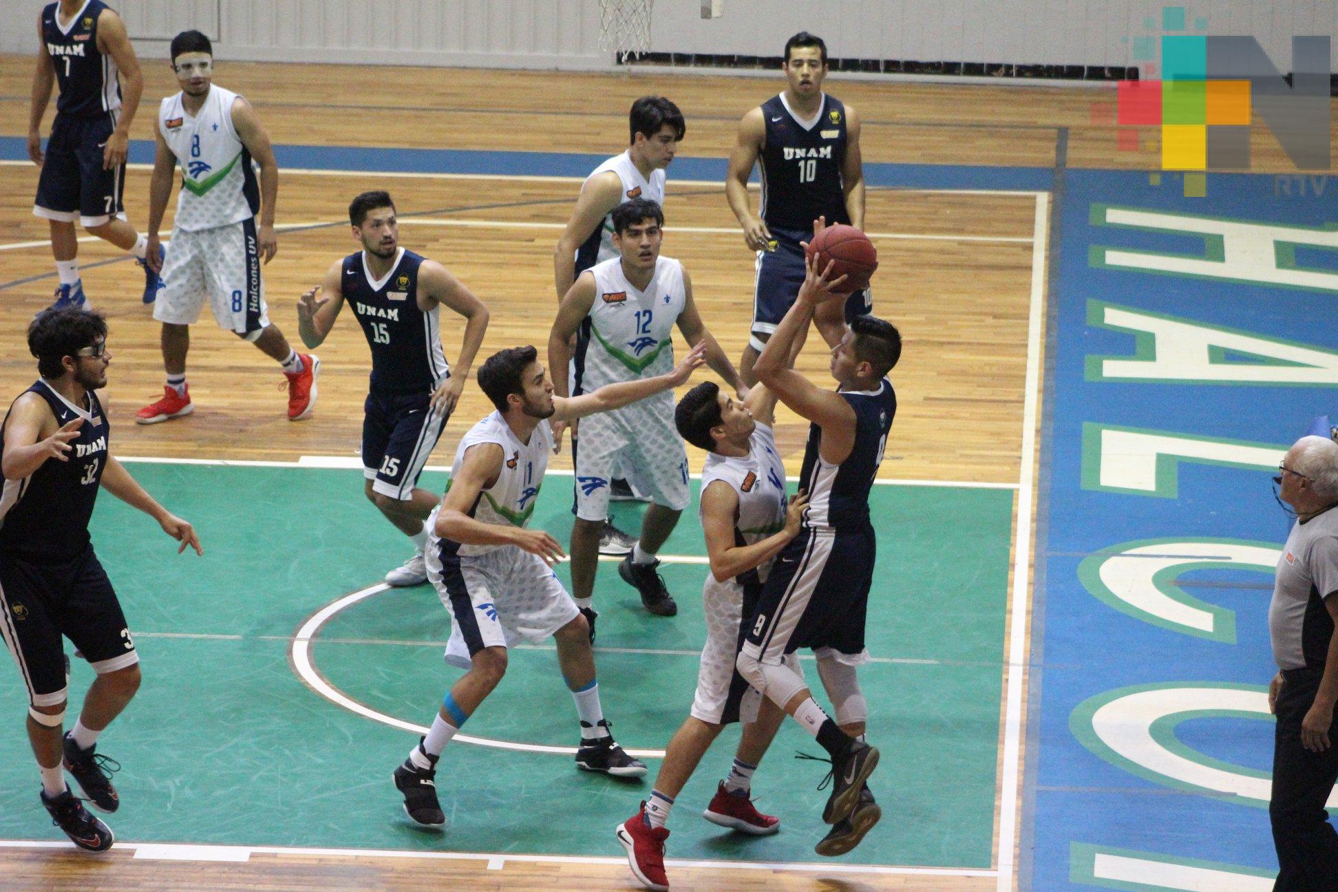 Halcones UV ante Tec de Oaxaca en Liga ABE