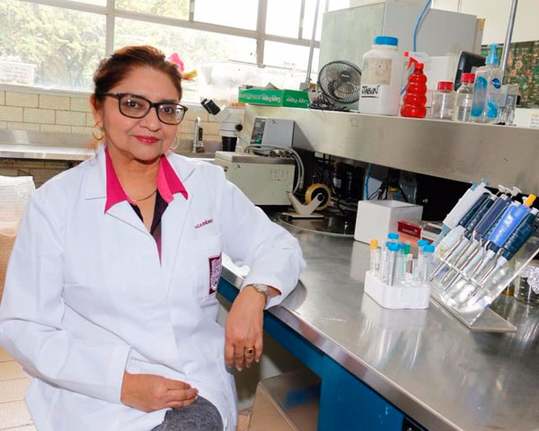 Descubre IPN propiedades en planta herbácea para combatir cáncer cervicouterino y de pulmón