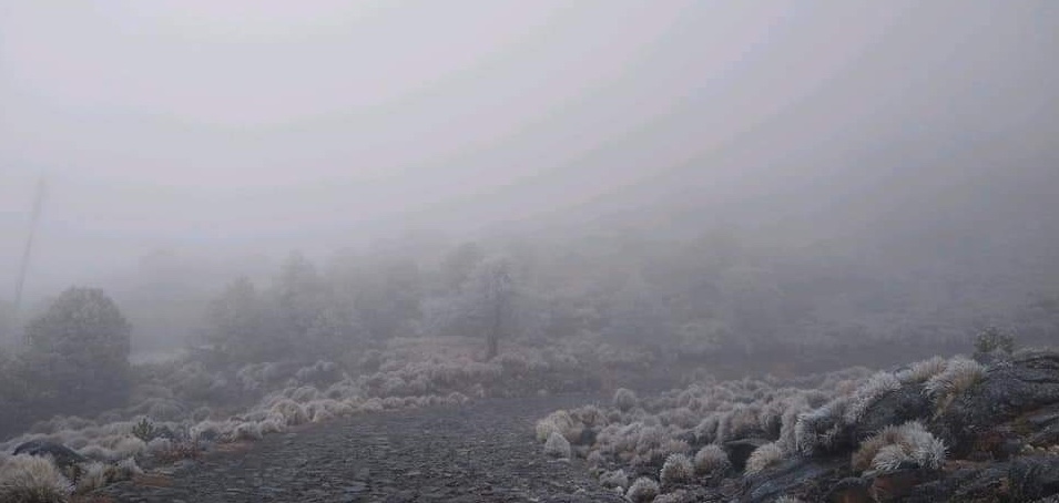 Se registran temperaturas de -5 grados en el Cofre de Perote