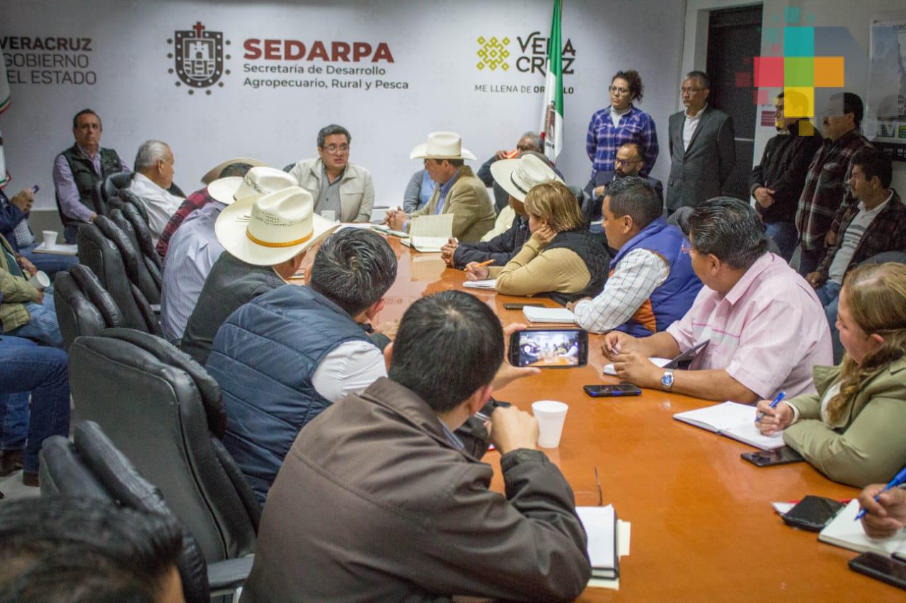 Respaldan cafeticultores inversión de Nestlé en Veracruz