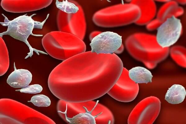 Aprueban uso pediátrico de fármaco para elevar recuento de plaquetas