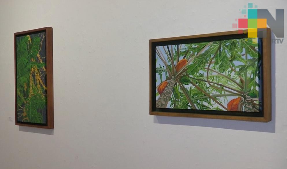 Continúa exposición “Honrando la vida” en Galería Ramón Alva de la Canal