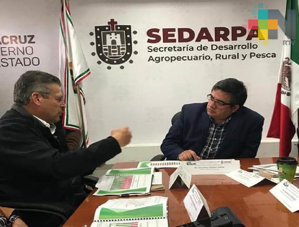 Avala Sedarpa creación del Consejo Veracruzano de Caña de Azúcar