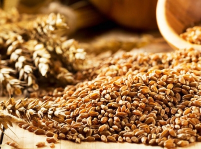 Científicos de UNAM desarrollan suplementos nutricionales de bajo costo