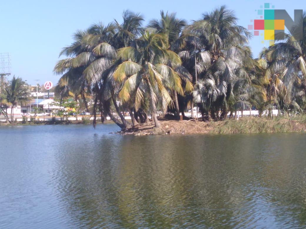 Usuarios proponen limpieza y mantenimiento de laguna Malibrán, en Veracruz