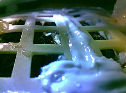 Brota semilla de algodón llevada por China a la Luna