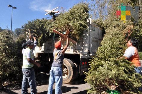 Inicia 15 de enero programa Recicla tu Navidad en Tuxpan