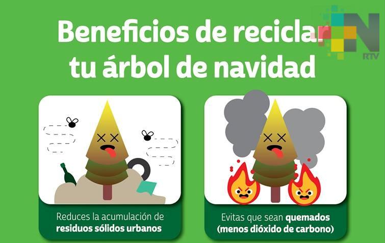 Comienza «Recicla tu navidad» en Boca del Río