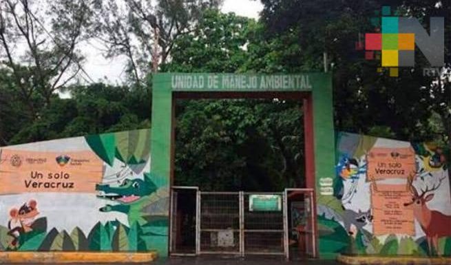 Falso que haya mortandad de especies en zoológico de Veracruz