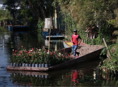 Chinampas, ejemplo de producción sustentable en la Ciudad de México