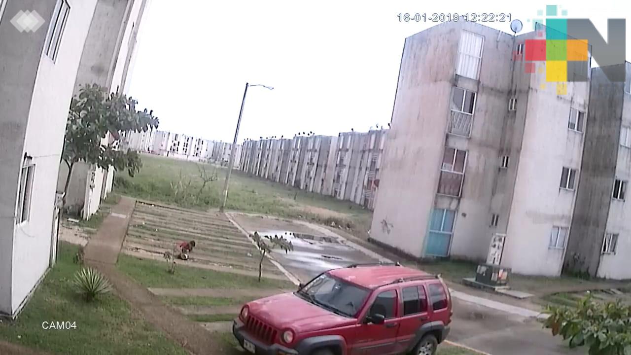 Menor de edad en Coatzacoalcos, tortura y mata a un gato