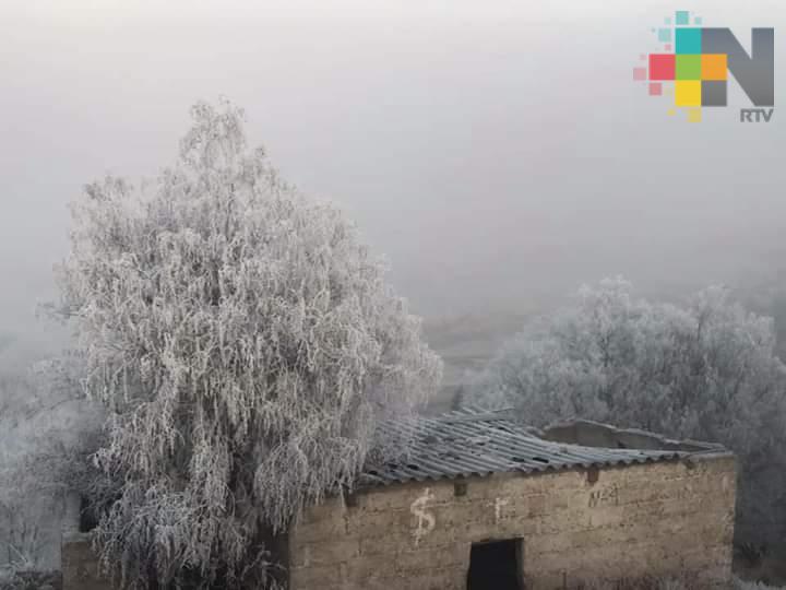Podrían continuar heladas al amanecer de este martes; surada duraría hasta el miércoles