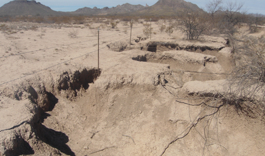 Impulsarán desarrollo de tecnologías para recuperación y protección de suelo agrícola
