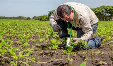 Actualiza Sader programas de capacitación a productores rurales
