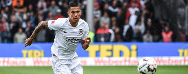 Salcedo volverá al futbol mexicano con Tigres