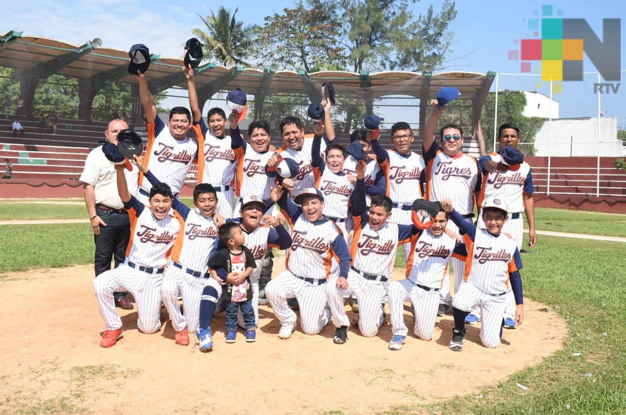 Tigrillos, campeón de la Liga Regional de Beisbol Infantil