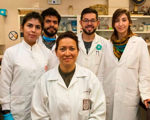 Elimina IPN cien por ciento Virus del Papiloma Humano