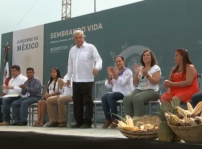 En Acayucan, el presidente López Obrador puso en marcha el programa Sembrando Vida
