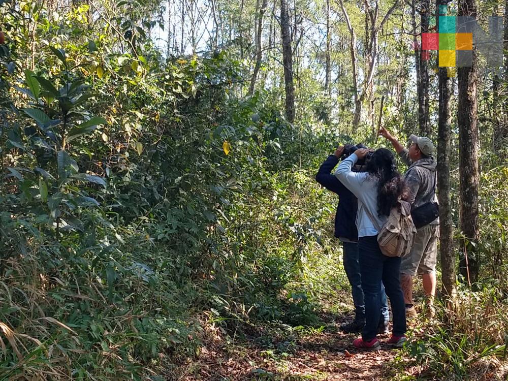 Xalapa se suma a la iniciativa ‘contando aves en tu comunidad’