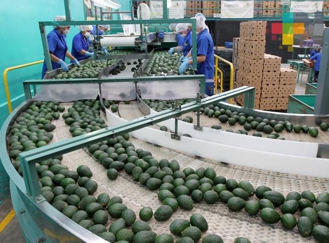 Aguacate mexicano rompe récord en Super Bowl