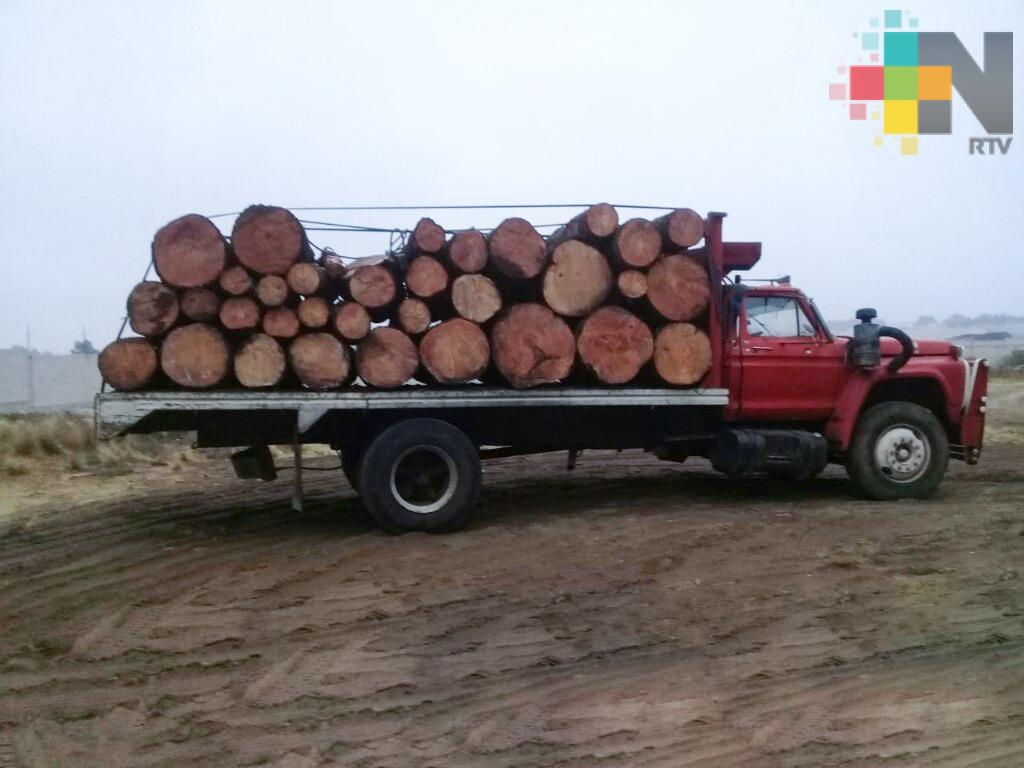 Recupera SSP camión con 33 piezas de madera