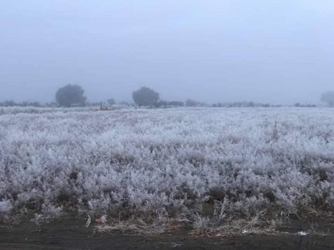 Gobernación termina emergencia por heladas en tres municipios veracruzanos