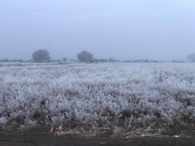 Descenso de temperatura podría ocasionar heladas en zonas altas de Veracruz: SPC