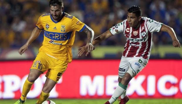 Tigres quita lo invicto a Necaxa al derrotarlo en el estadio Universitario