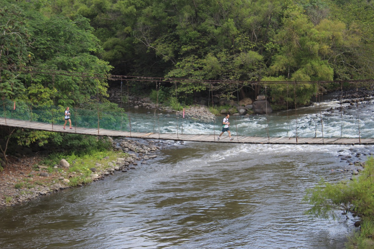 Turismo sustentable, una de las opciones para recuperar al sector turístico pasada la pandemia: Conabio