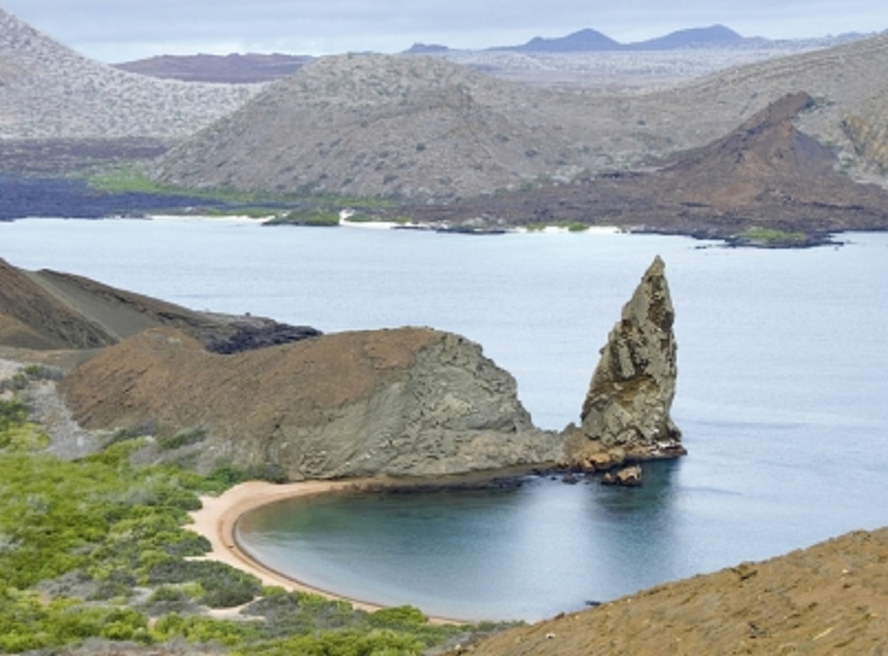 Hallan en Galápagos tortuga gigante que se creía extinta hace 100 años