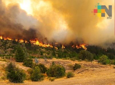 Decretan estado de catástrofe en tres regiones chilenas por incendios