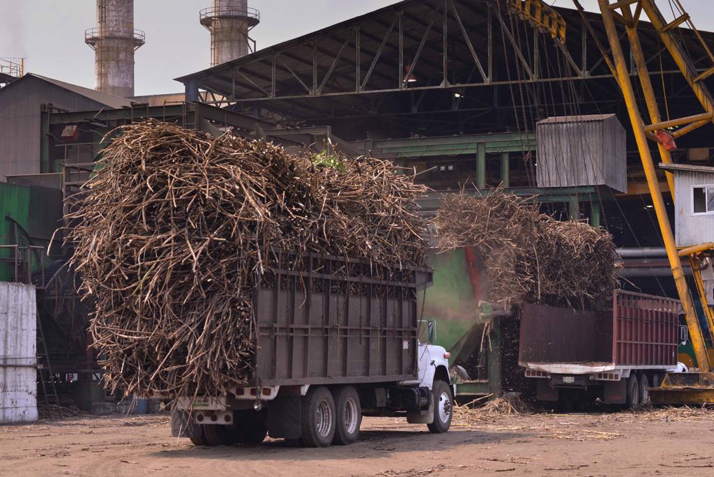 Prevén caída de producción de azúcar en el ingenio San Cristóbal
