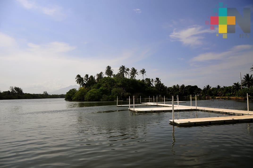 Isla de Las Barrillas podría ser una reserva ecoturística