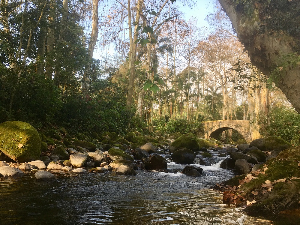 Río Trianón, Coatepec