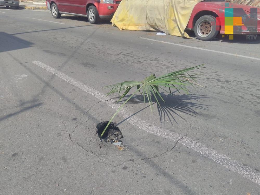 Vecinos reportan socavón y banqueta rota en calles de Veracruz